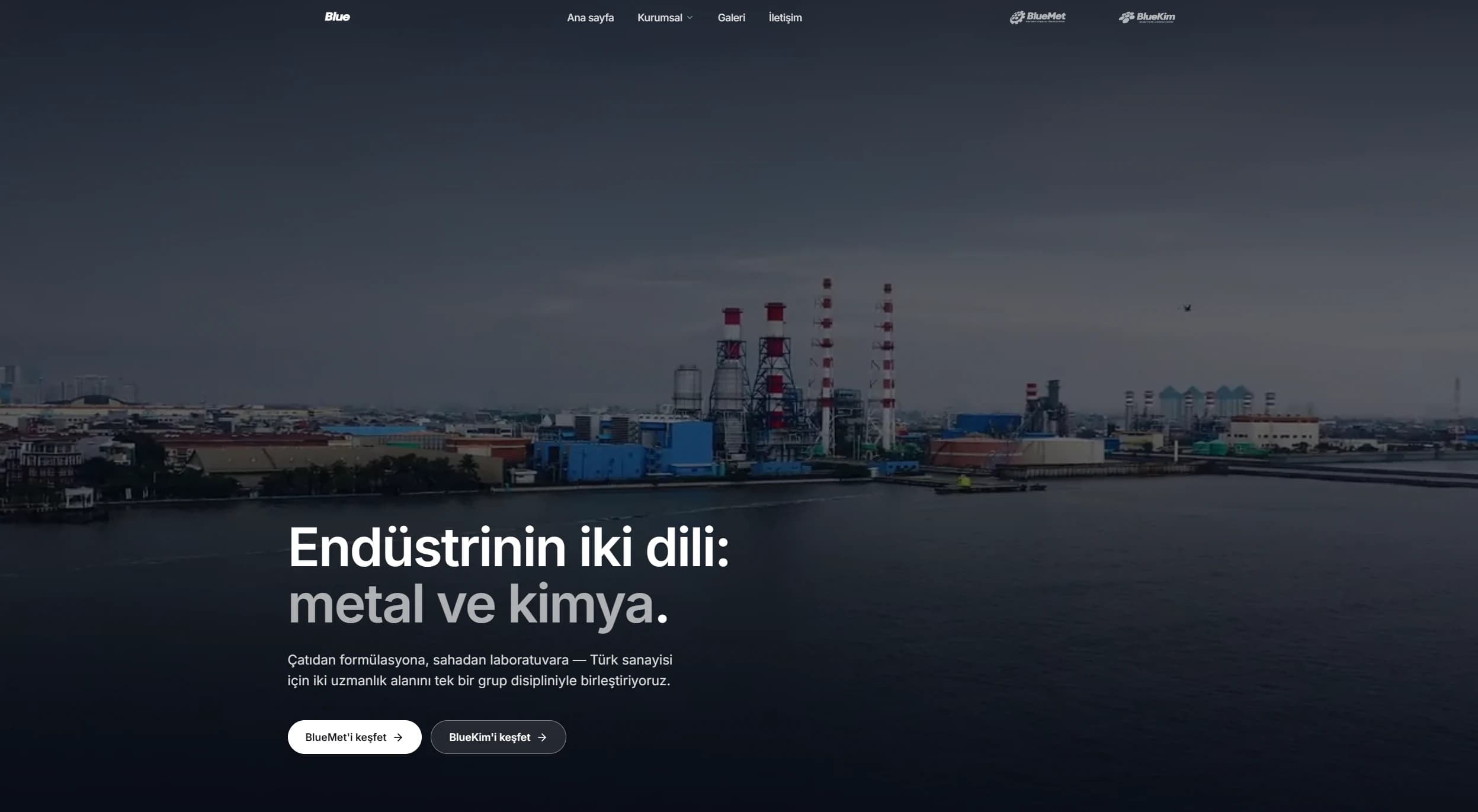 BlueKim ve BlueMet kimya ve metal markalarını birleştiren kurumsal web sitesi ana sayfası